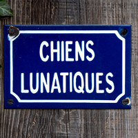 Z7I_2324 chien Lunatiques